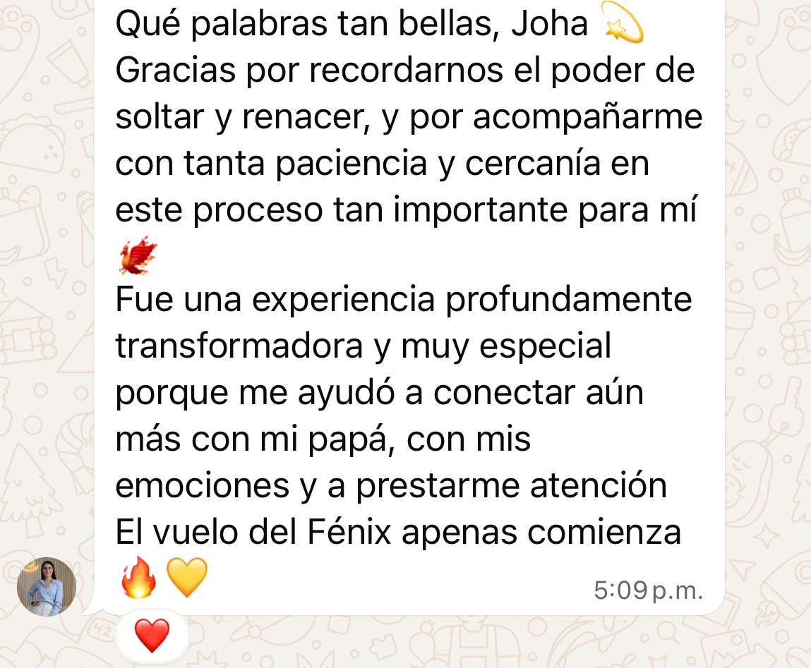 Captura de WhatsApp — testimonio sobre el vuelo del Fénix